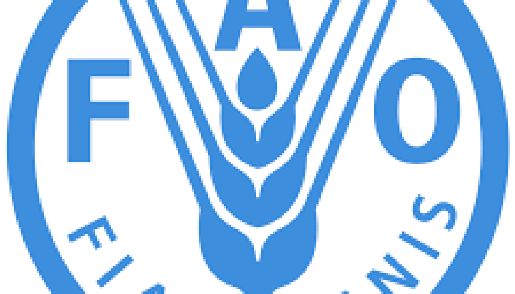 FAO Representative Vacancy-Job Ref: GJMMFAO/1201/202651