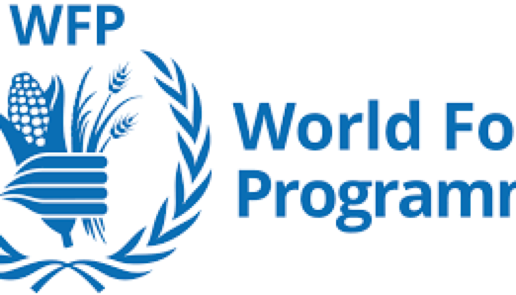 wfp Programme Policy Officer NO-B (Emergency Response,EPR and Access) Vacancy-Job Ref: GJMMWFP/1905/2025801